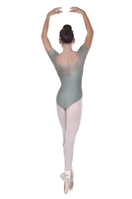 Ladies short sleeved leotard upper mesh bodice